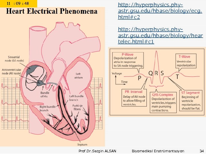 http: //hyperphysics. phyastr. gsu. edu/hbase/biology/ecg. html#c 2 http: //hyperphysics. phyastr. gsu. edu/hbase/biology/hear telec. html#c