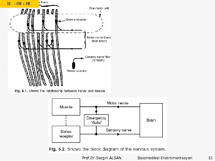 Prof. Dr. Sezgin ALSAN Biyomedikal Enstrümantasyon 51 