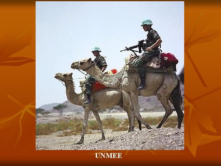 UNMEE 