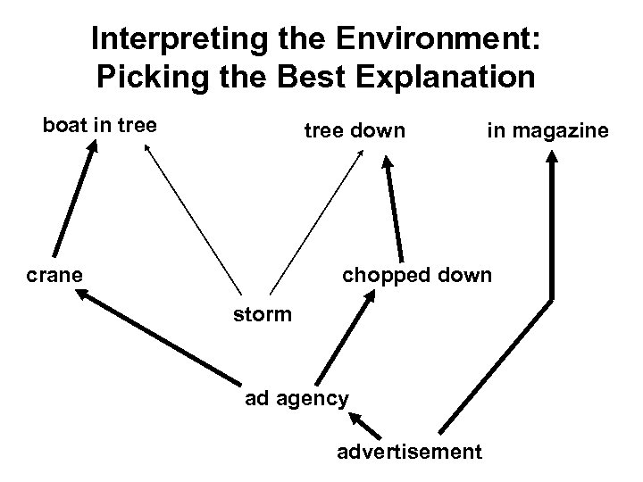 Interpreting the Environment: Picking the Best Explanation boat in tree down in magazine chopped