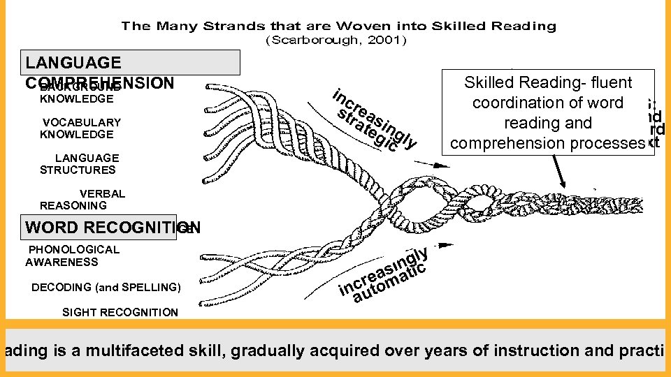 LANGUAGE COMPREHENSION BACKGROUND KNOWLEDGE VOCABULARY KNOWLEDGE LANGUAGE STRUCTURES inc strrea atesin gicgly Skilled Reading-