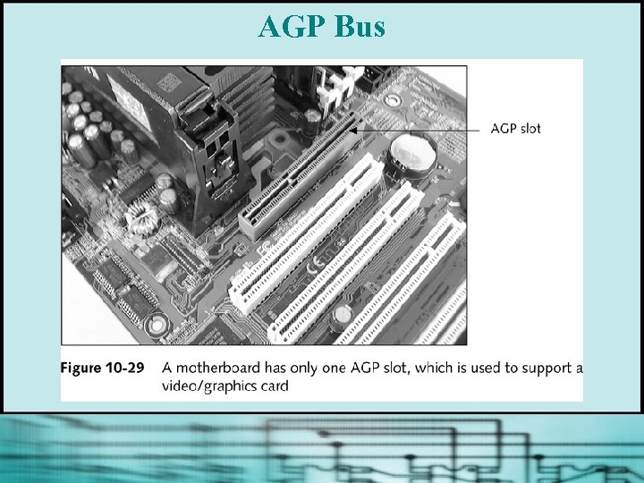 AGP Bus 