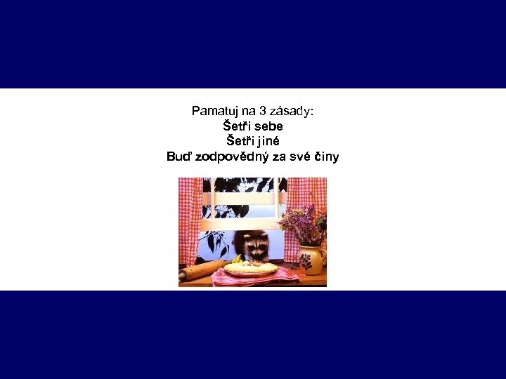 Pamatuj na 3 zásady: Šetři sebe Šetři jiné Buď zodpovědný za své činy 