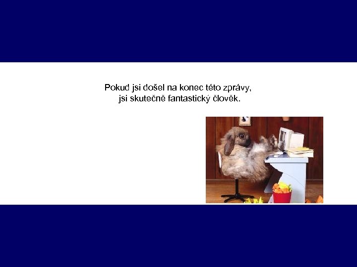 Pokud jsi došel na konec této zprávy, jsi skutečně fantastický člověk. 