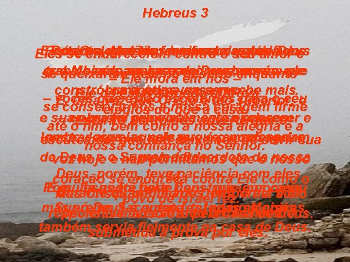 Hebreus 3 E Porém Jesus tem somos a o seu de Deus nós, Ora,