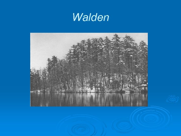 Walden 