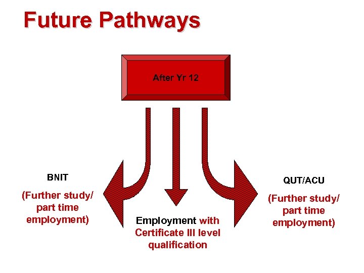 Future Pathways After Yr 12 BNIT QUT/ACU (Further study/ part time employment) Employment with