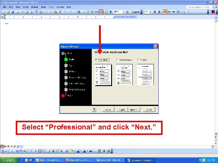 Select “Professional” and click “Next. ” 