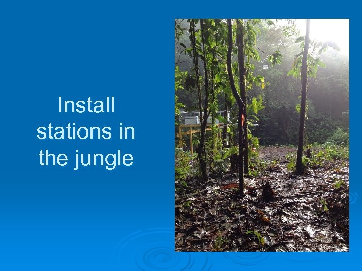 Install stations in the jungle 