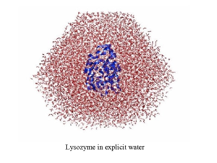 Lysozyme in explicit water 