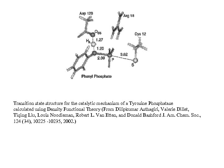 Transition state structure for the catalytic mechanism of a Tyrosine Phosphatase calculated using Density