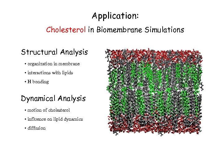 Application: Cholesterol in Biomembrane Simulations Structural Analysis • organization in membrane • interactions with