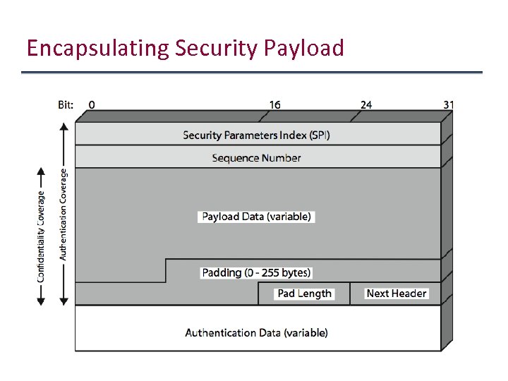 Encapsulating Security Payload 