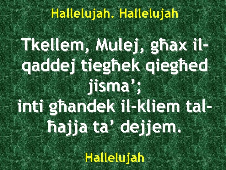Hallelujah Tkellem, Mulej, għax ilqaddej tiegħek qiegħed jisma’; inti għandek il-kliem talħajja ta’ dejjem.