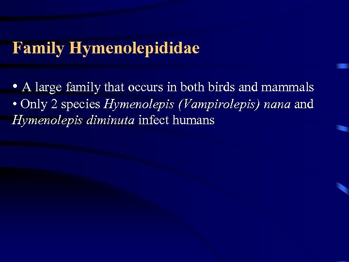 Family Hymenolepididae • A large family that occurs in both birds and mammals •