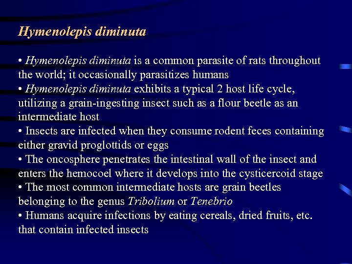 Hymenolepis diminuta • Hymenolepis diminuta is a common parasite of rats throughout the world;