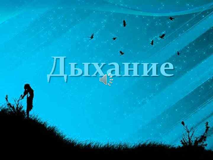 Дыхание 