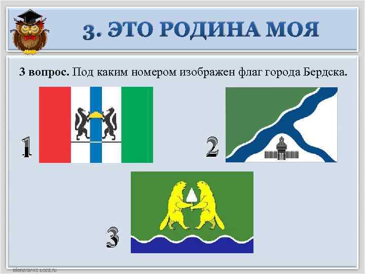 3. ЭТО РОДИНА МОЯ 3 вопрос. Под каким номером изображен флаг города Бердска. 2