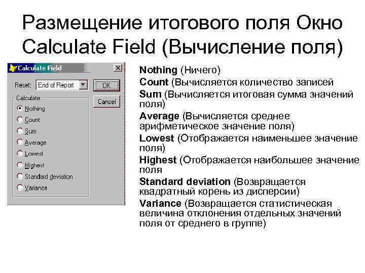 Размещение итогового поля Окно Calculate Field (Вычисление поля) Nothing (Ничего) Count (Вычисляется количество записей