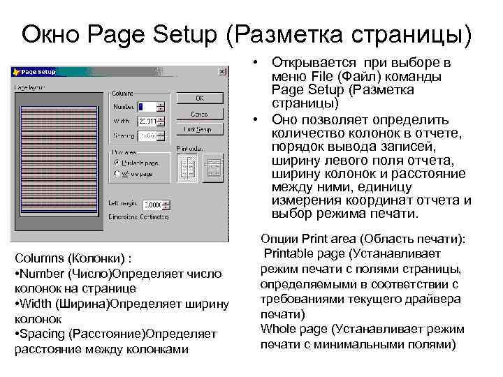 Окно Page Setup (Разметка страницы) • Открывается при выборе в меню File (Файл) команды