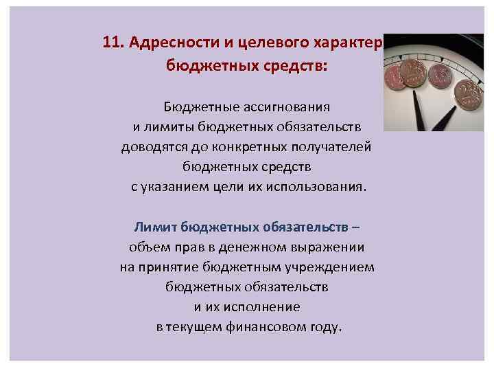 11. Адресности и целевого характера бюджетных средств: Бюджетные ассигнования и лимиты бюджетных обязательств доводятся