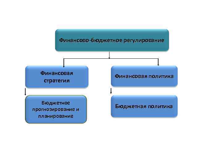 Финансово-бюджетное регулирование Финансовая стратегия Бюджетное прогнозирование и планирование Финансовая политика Бюджетная политика 