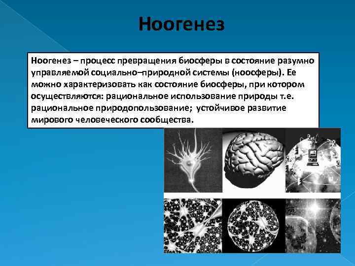 Ноогенез – процесс превращения биосферы в состояние разумно управляемой социально–природной системы (ноосферы). Ее можно