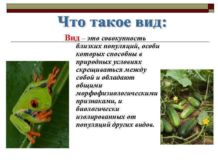 Вид – это совокупность близких популяций, особи которых способны в природных условиях скрещиваться между