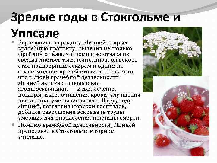 Зрелые годы в Стокгольме и Уппсале Вернувшись на родину, Линней открыл врачебную практику. Вылечив