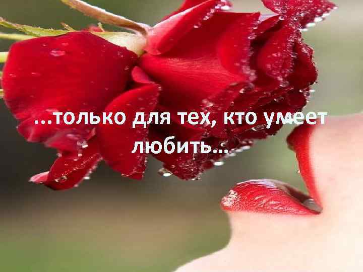 . . . только для тех, кто умеет любить… 