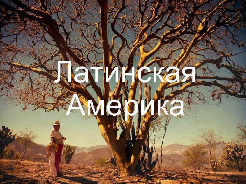 эля Латинская Америка 