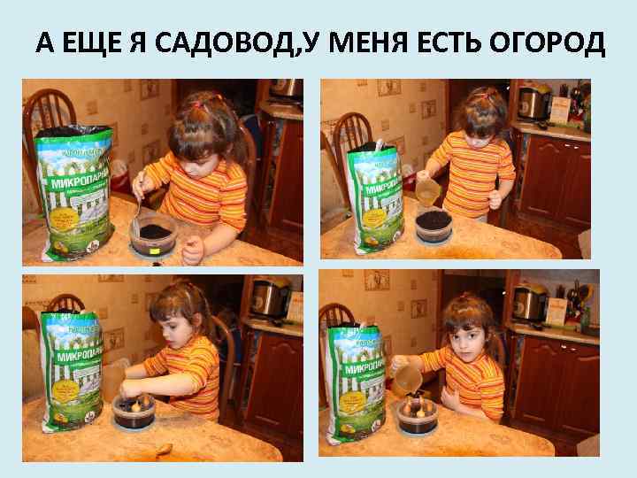 А ЕЩЕ Я САДОВОД, У МЕНЯ ЕСТЬ ОГОРОД 