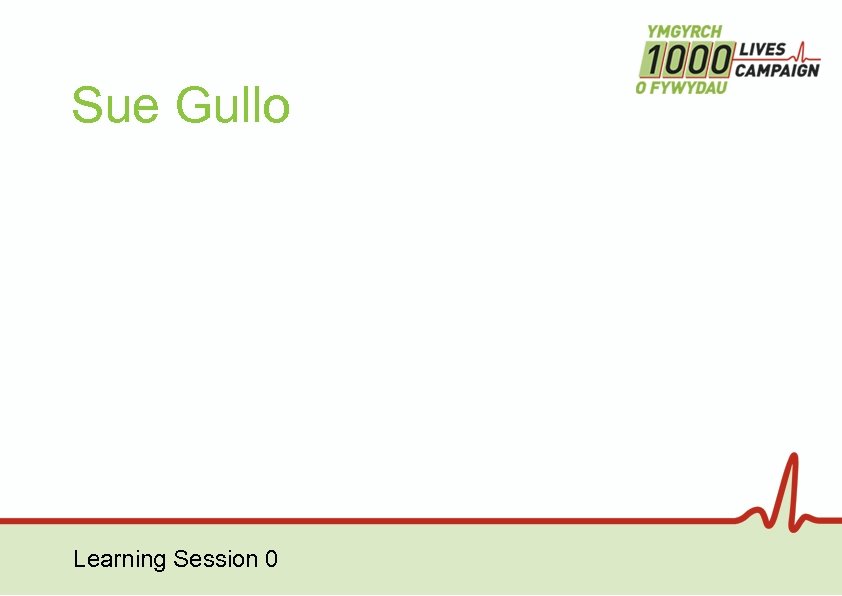 Sue Gullo Learning Session 0 