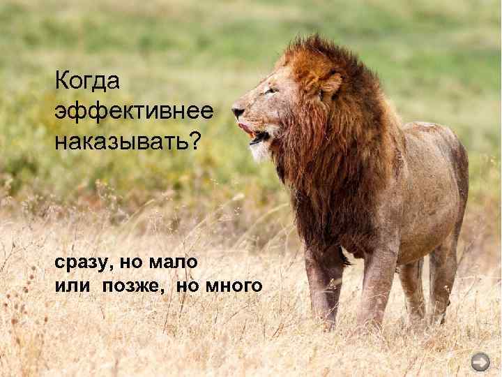 Когда эффективнее наказывать? сразу, но мало или позже, но много 
