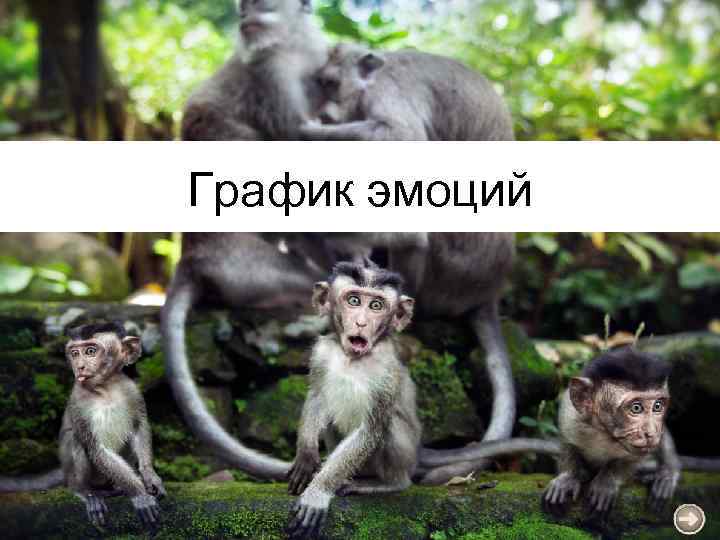 График эмоций 