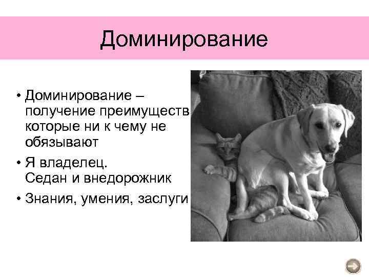 Доминирование • Доминирование – получение преимуществ которые ни к чему не обязывают • Я