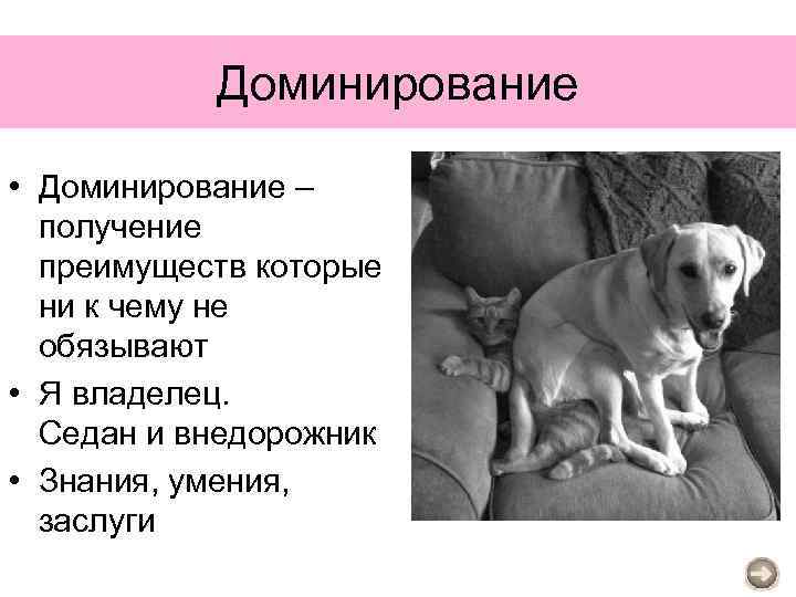 Доминирование • Доминирование – получение преимуществ которые ни к чему не обязывают • Я