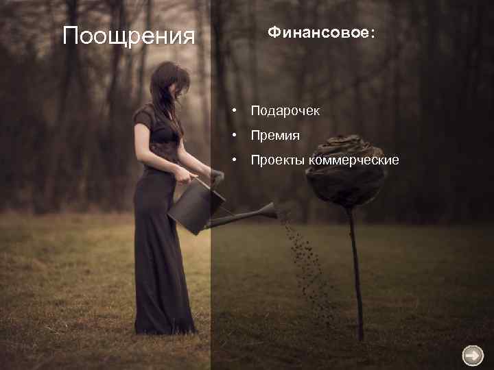 Поощрения Финансовое: • Подарочек • Премия • Проекты коммерческие 