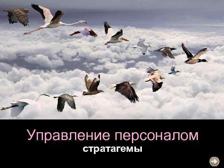 Управление персоналом стратагемы 