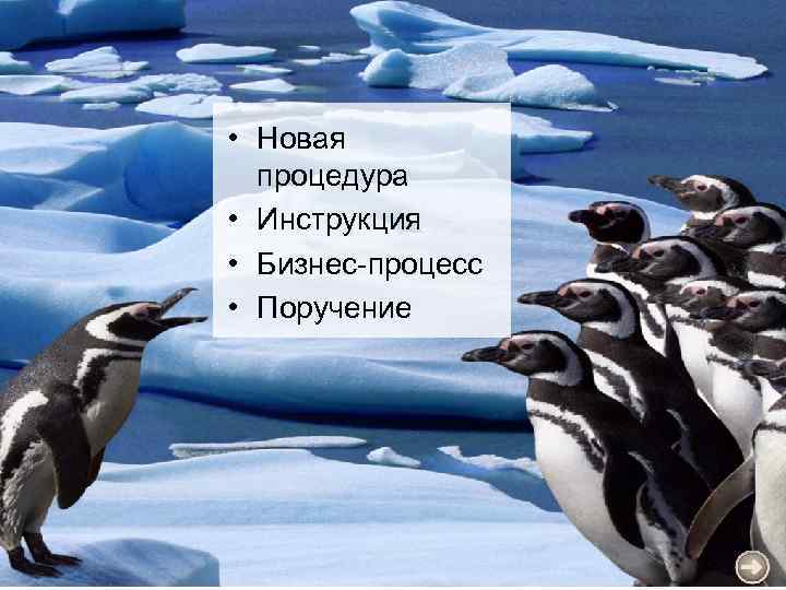  • Новая процедура • Инструкция • Бизнес-процесс • Поручение 