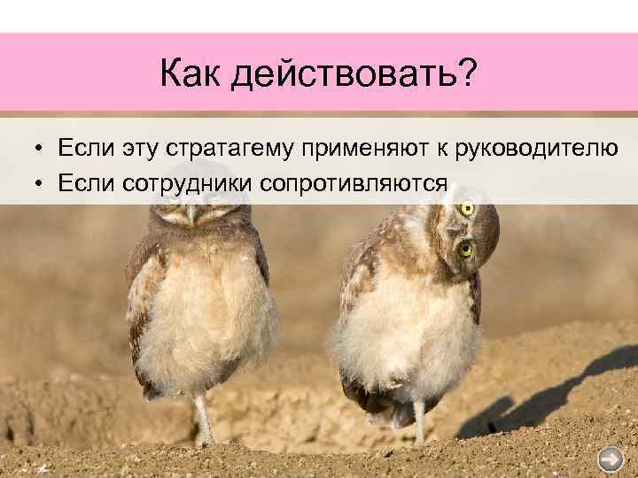 Как действовать? • Если эту стратагему применяют к руководителю • Если сотрудники сопротивляются 