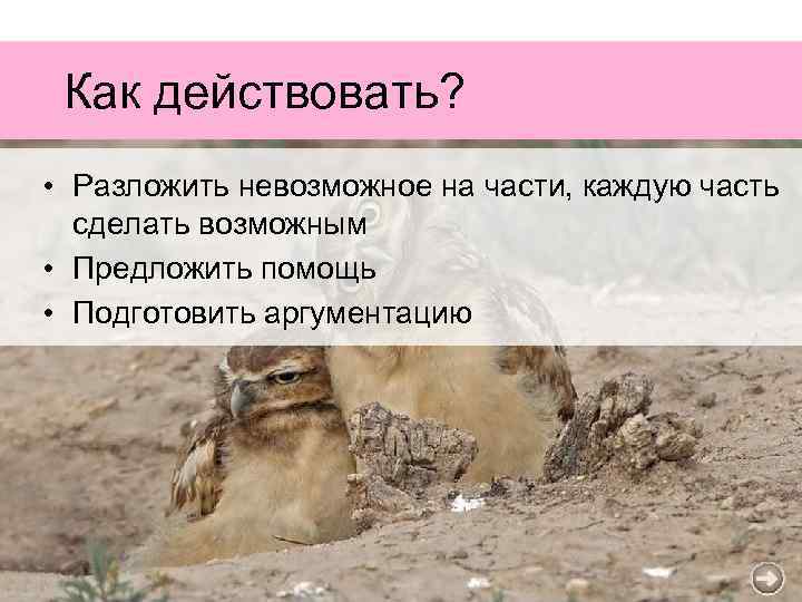 Как действовать? • Разложить невозможное на части, каждую часть сделать возможным • Предложить помощь