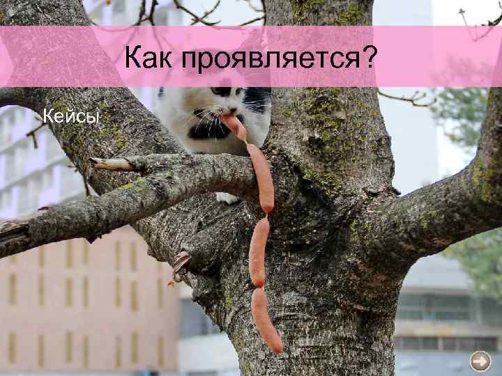 Как проявляется? Кейсы 