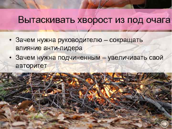Вытаскивать хворост из под очага • Зачем нужна руководителю – сокращать влияние анти-лидера •