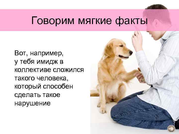 Говорим мягкие факты Вот, например, у тебя имидж в коллективе сложился такого человека, который