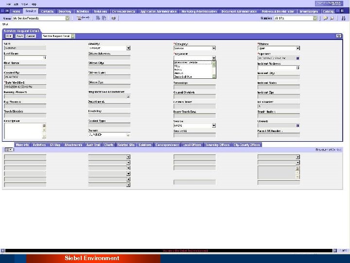 Siebel Environment 