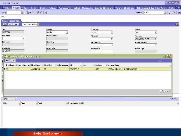 Siebel Environment 
