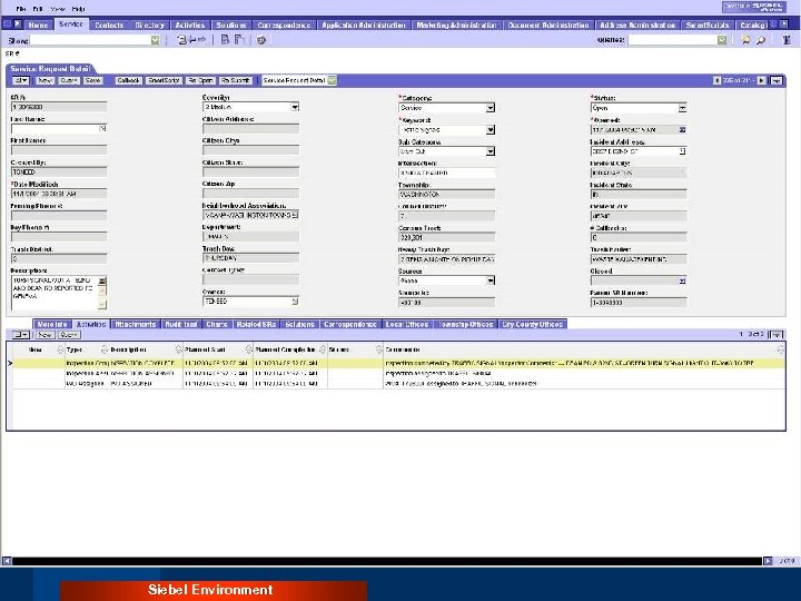 Siebel Environment 