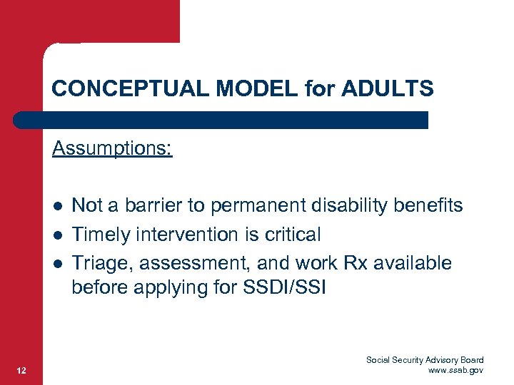 CONCEPTUAL MODEL for ADULTS Assumptions: l l l 12 Not a barrier to permanent