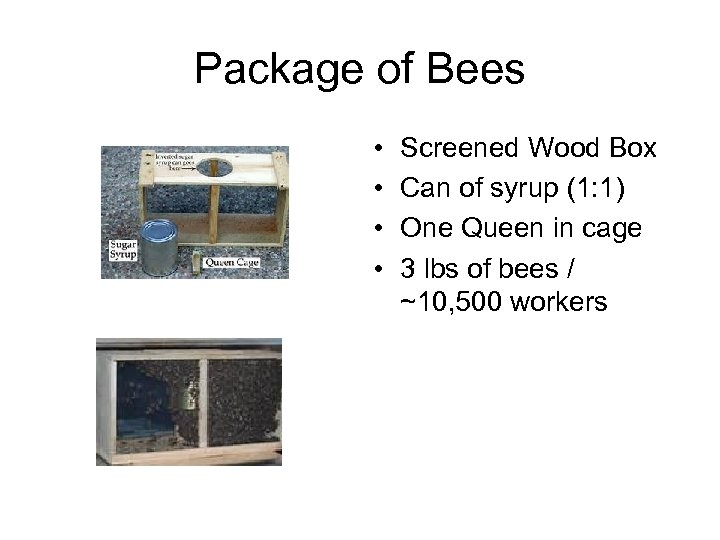 Package of Bees • • Screened Wood Box Can of syrup (1: 1) One